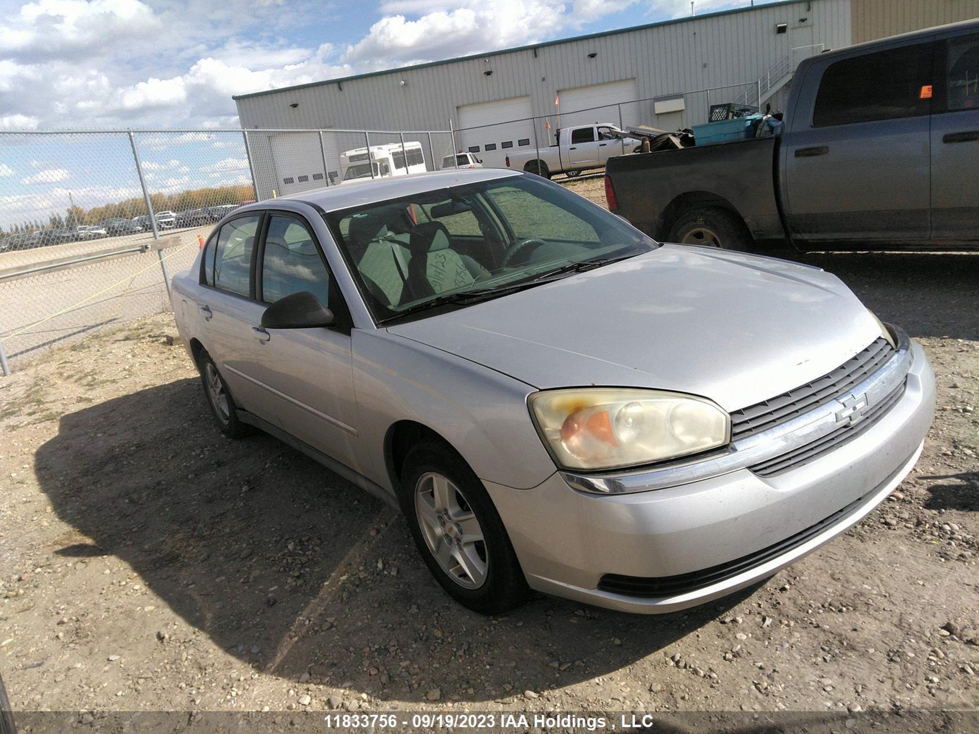 CHEVROLET MALIBU 2005 1g1zt52895f192546