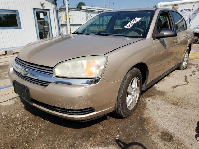 CHEVROLET MALIBU LS 2005 1g1zt52895f274258