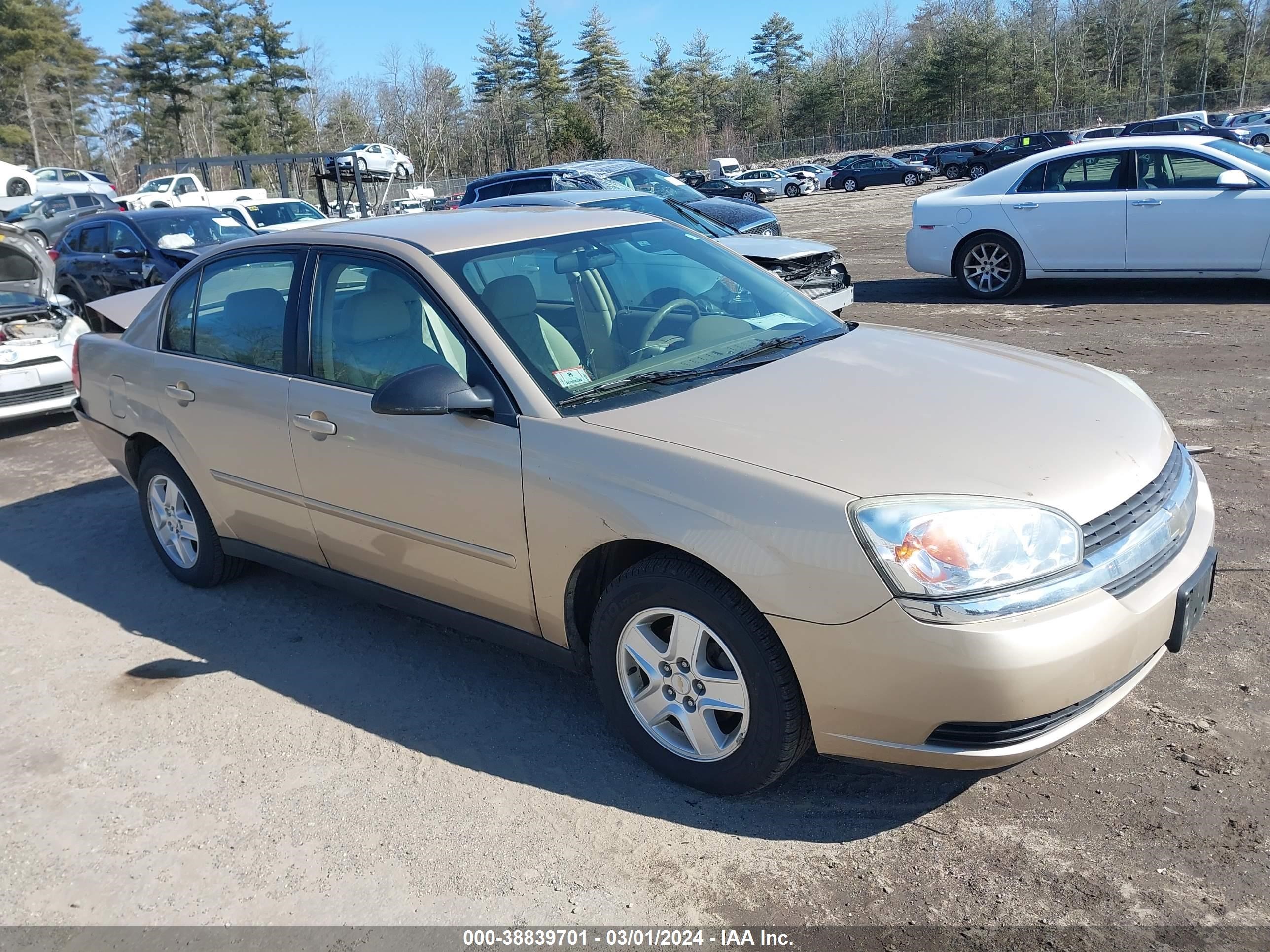 CHEVROLET MALIBU 2004 1g1zt528x4f146058