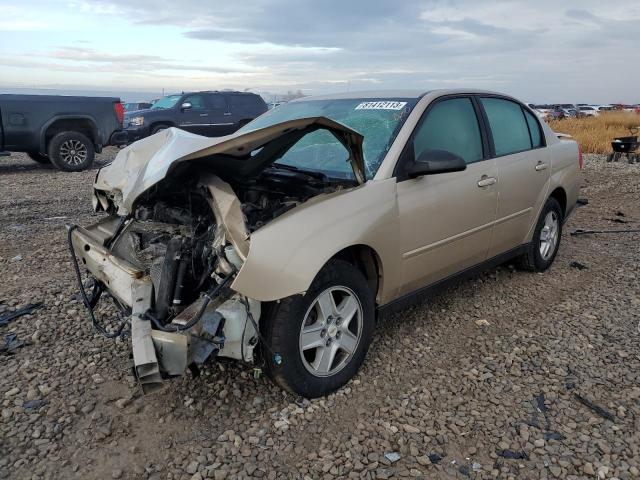 CHEVROLET MALIBU 2005 1g1zt528x5f314427