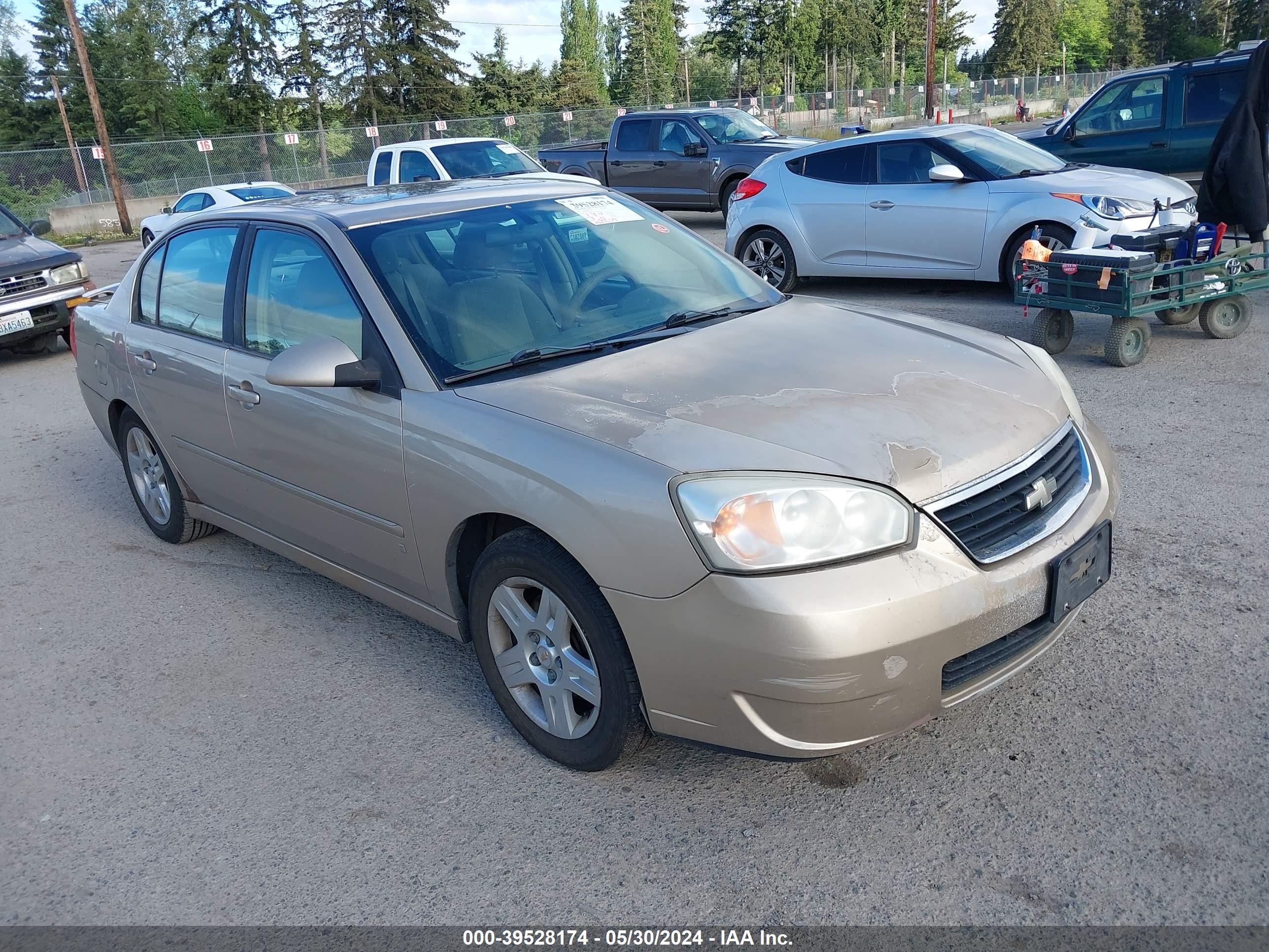 CHEVROLET MALIBU 2006 1g1zt53886f184793