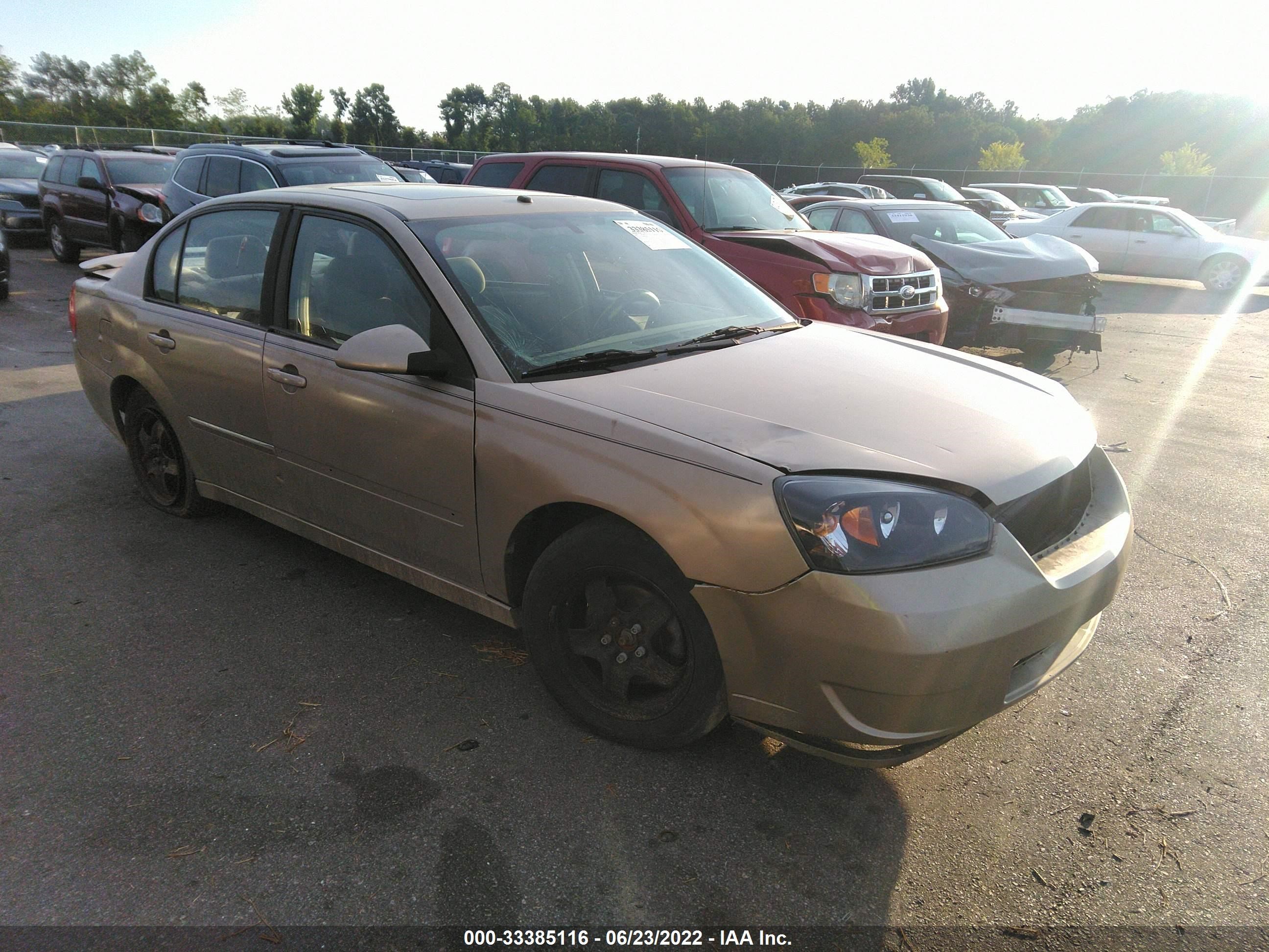 CHEVROLET MALIBU 2006 1g1zt538x6f210388