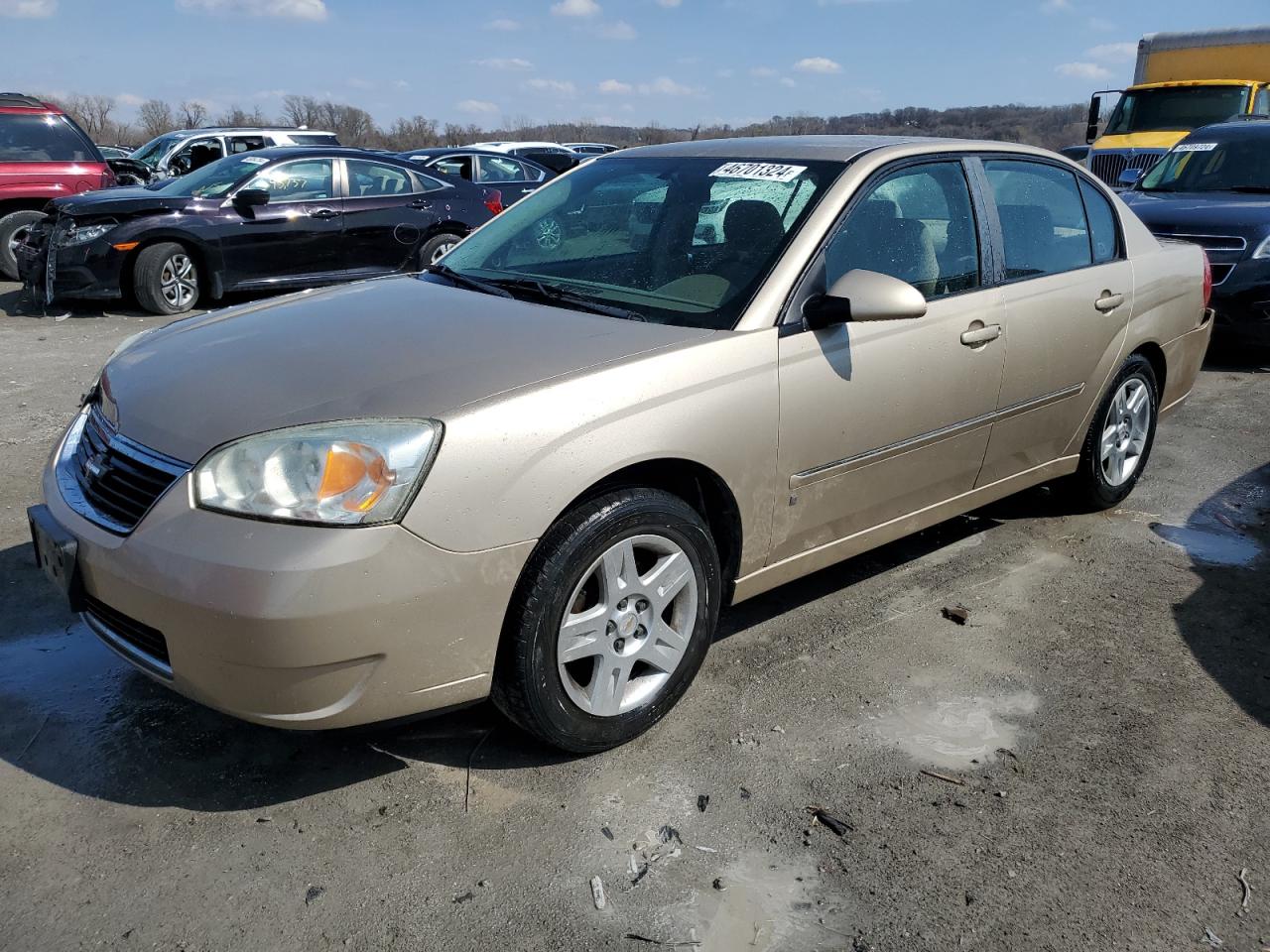 CHEVROLET MALIBU 2006 1g1zt53f16f260658