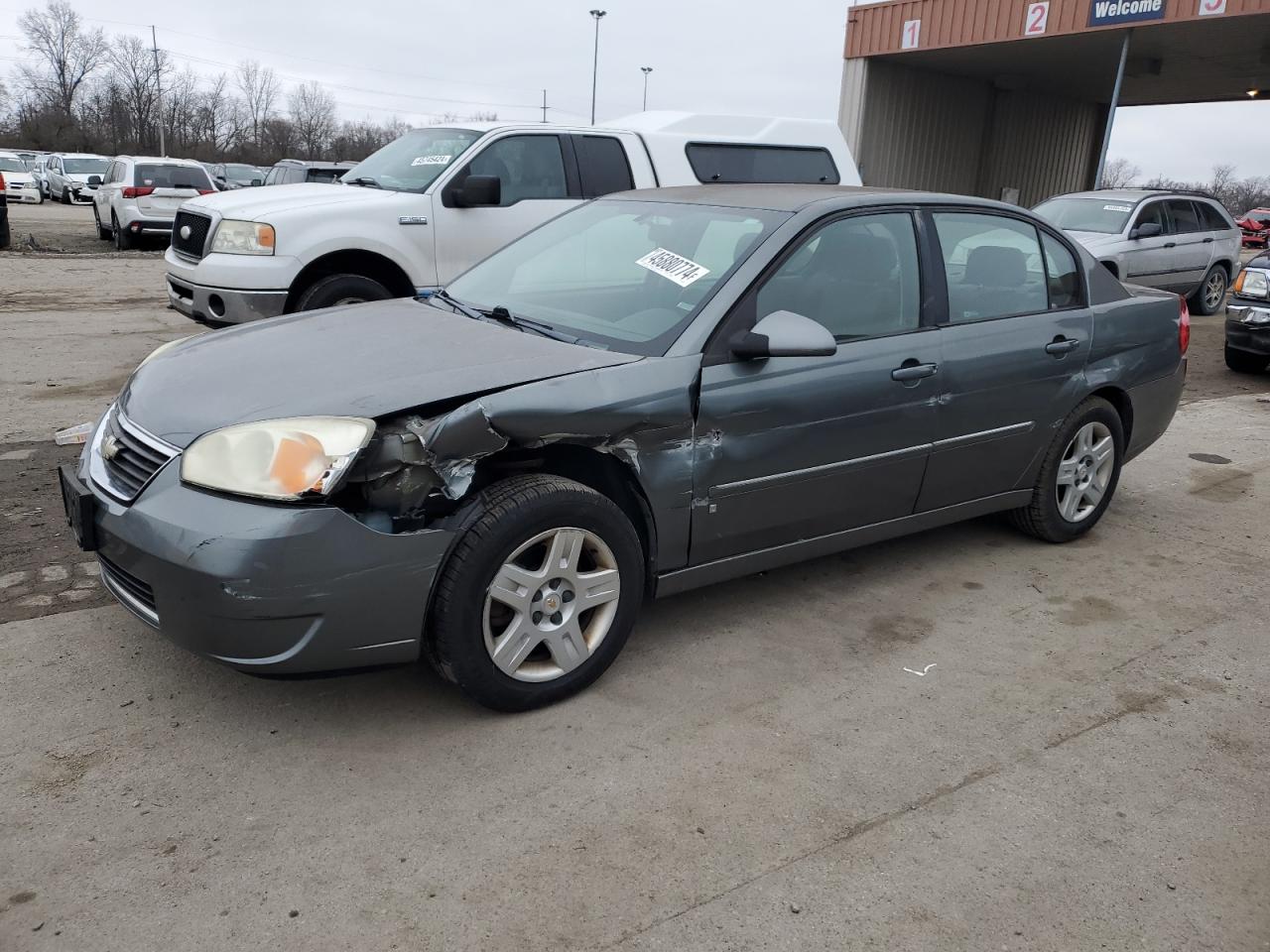 CHEVROLET MALIBU 2006 1g1zt53f56f243202