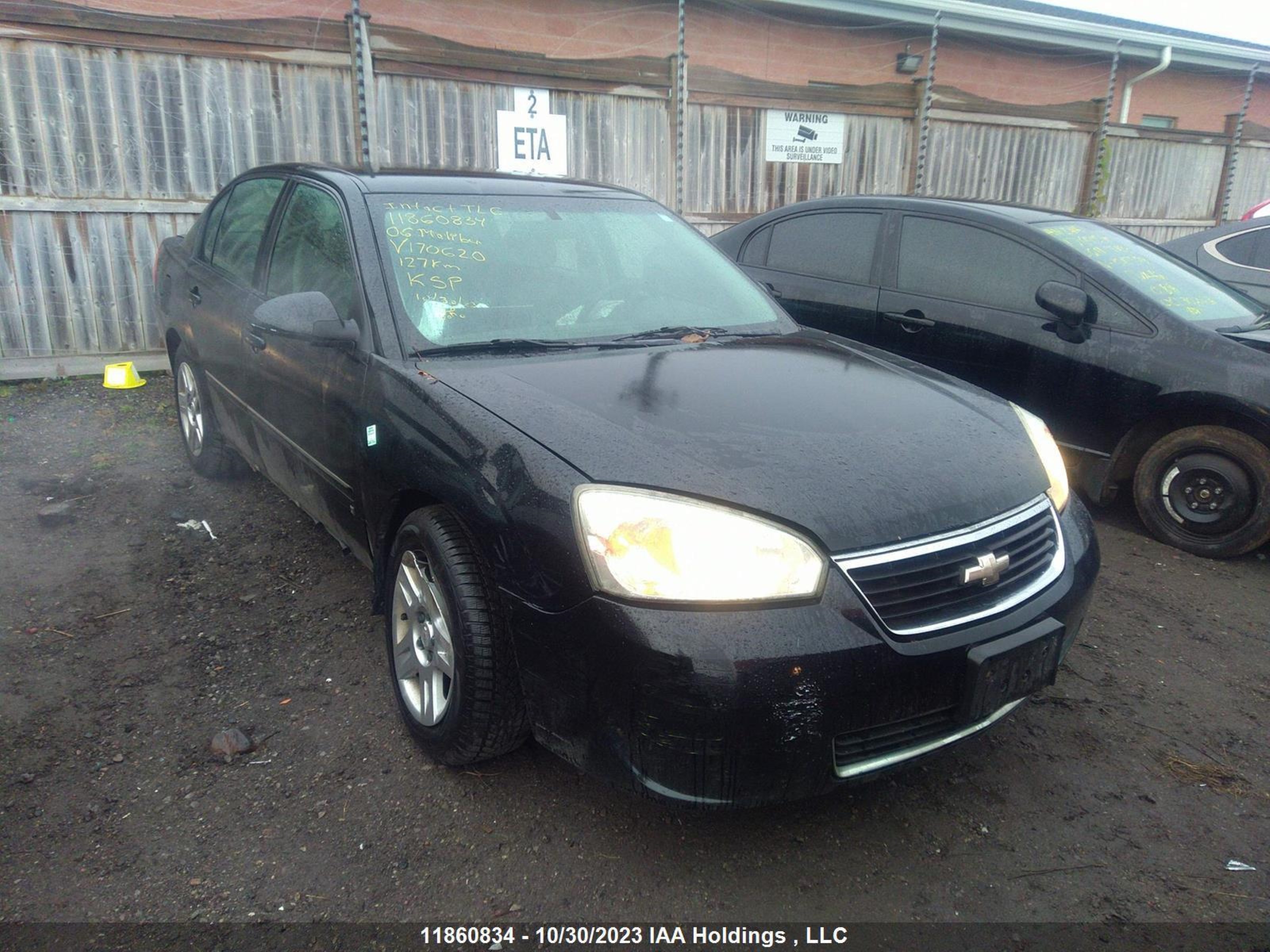 CHEVROLET MALIBU 2006 1g1zt53f86f170620