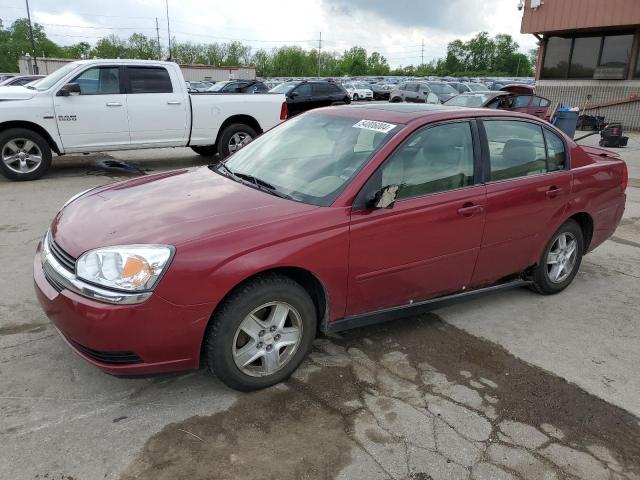 CHEVROLET MALIBU 2004 1g1zt54804f102289