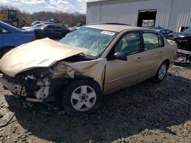 CHEVROLET MALIBU 2004 1g1zt54804f106391