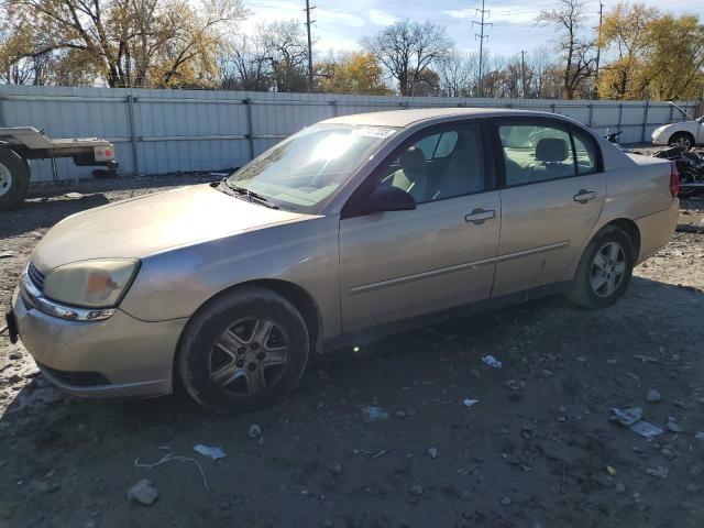 CHEVROLET MALIBU 2004 1g1zt54804f125409