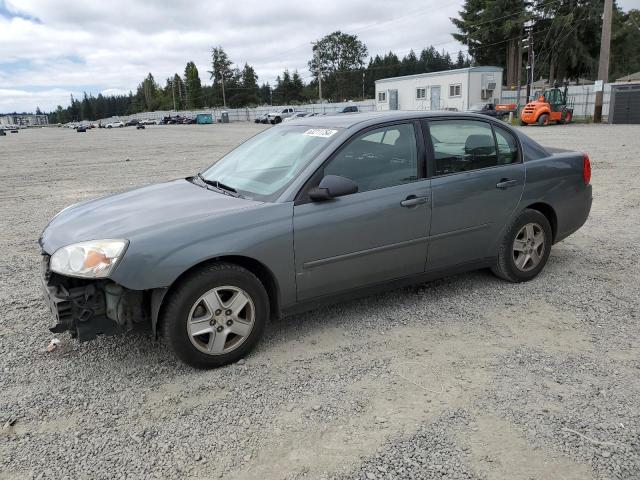 CHEVROLET MALIBU 2004 1g1zt54804f135812