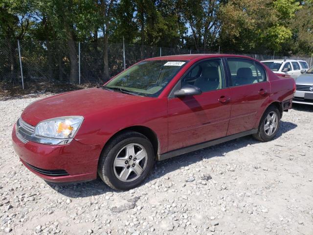 CHEVROLET MALIBU 2005 1g1zt54805f145886