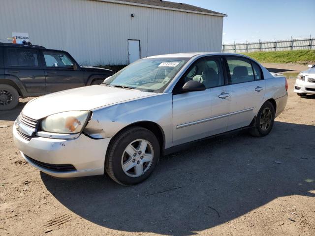 CHEVROLET MALIBU 2005 1g1zt54805f175440