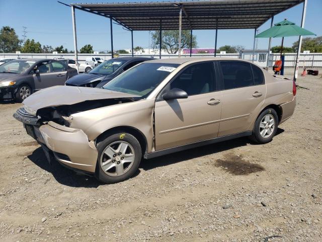 CHEVROLET MALIBU 2005 1g1zt54815f159554