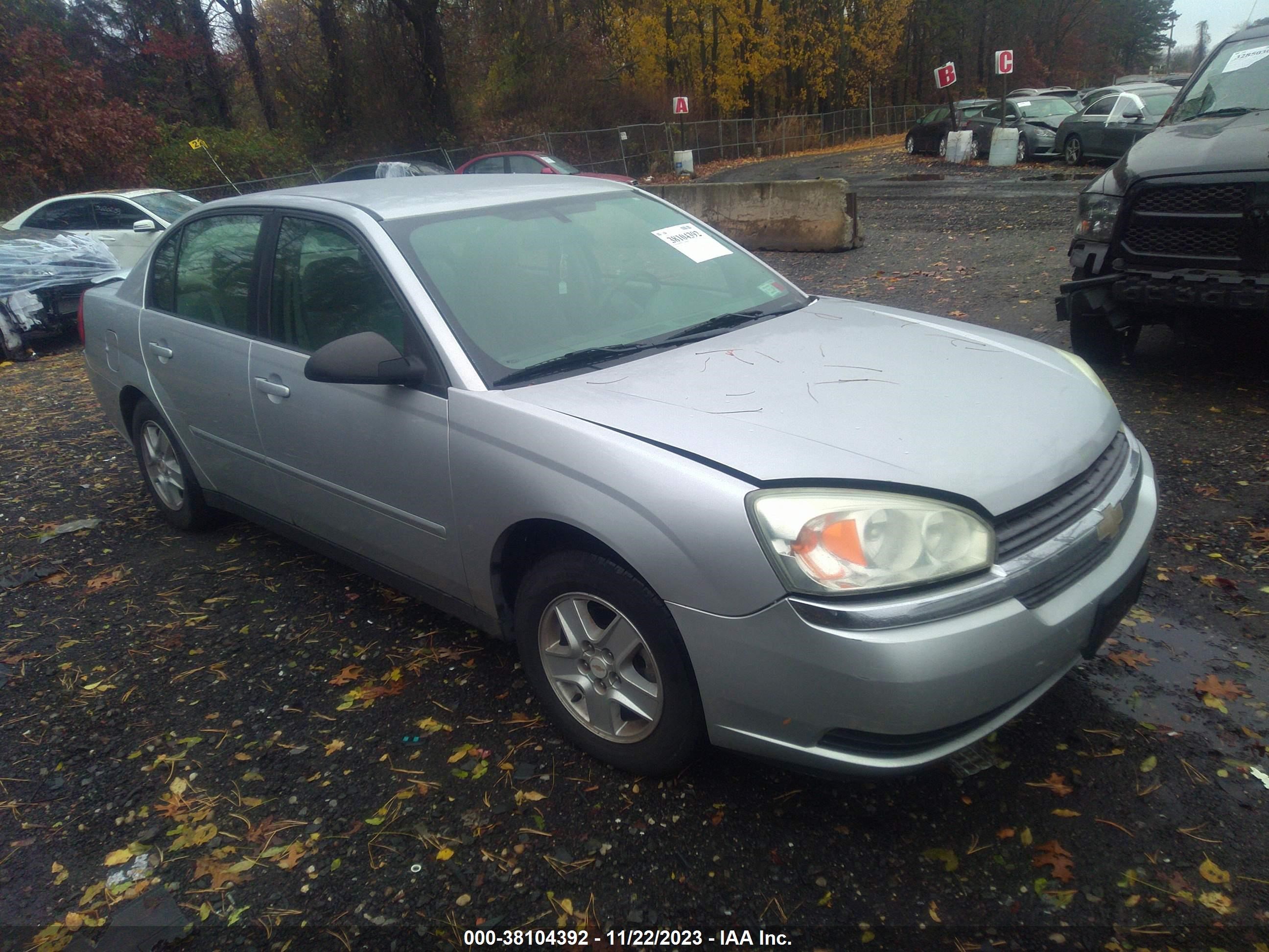 CHEVROLET MALIBU 2004 1g1zt54834f208431