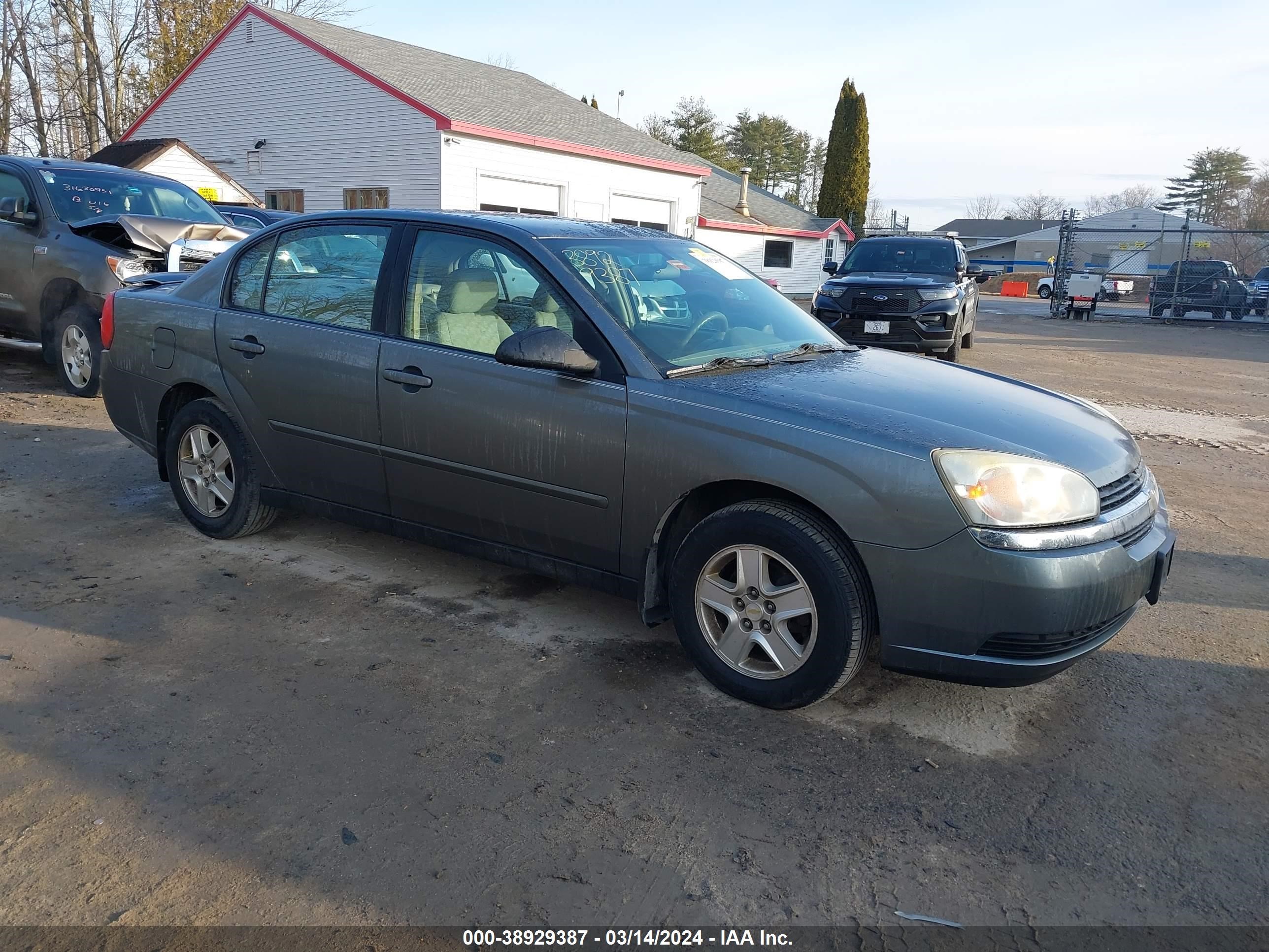 CHEVROLET MALIBU 2005 1g1zt54835f134865