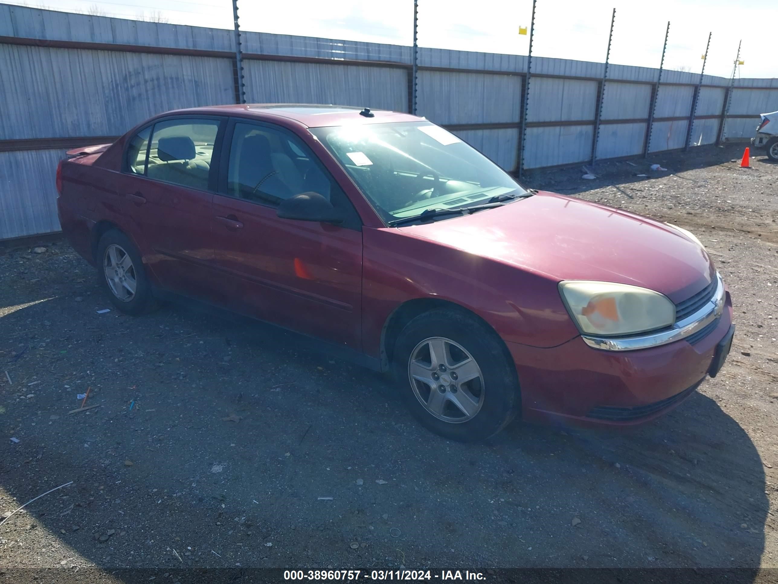 CHEVROLET MALIBU 2005 1g1zt54845f270034