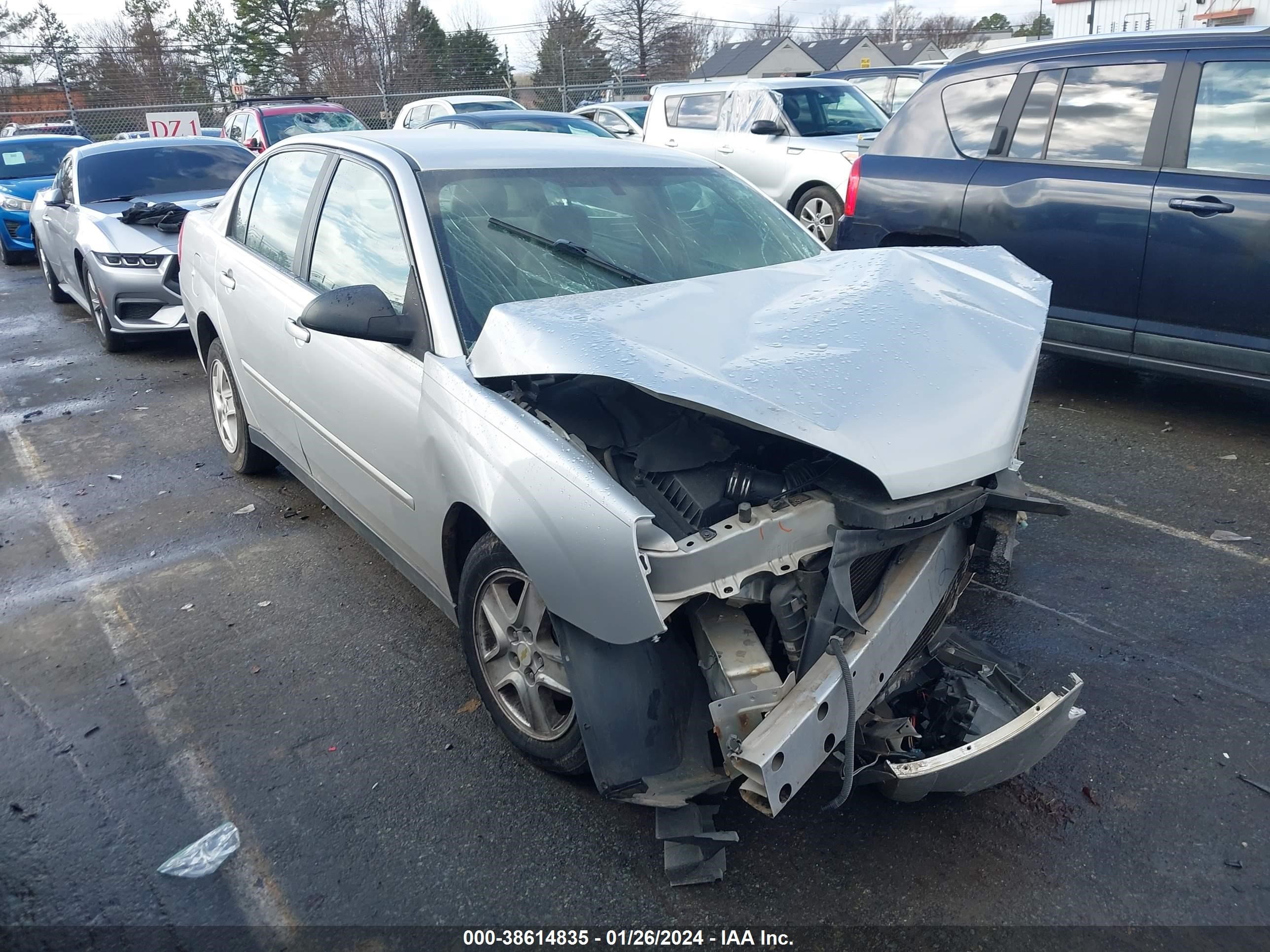 CHEVROLET MALIBU 2005 1g1zt54855f205886