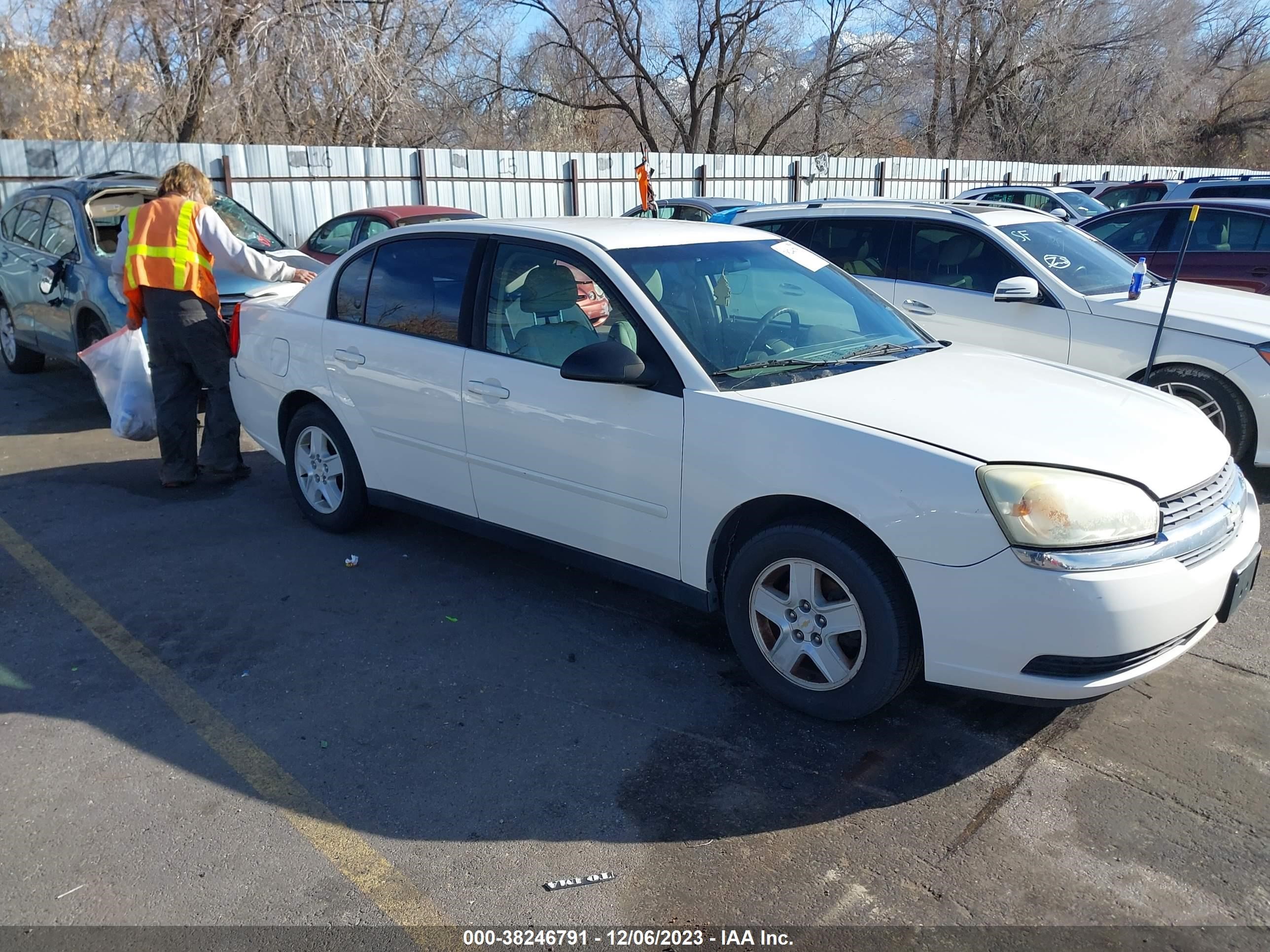 CHEVROLET MALIBU 2005 1g1zt54855f212482