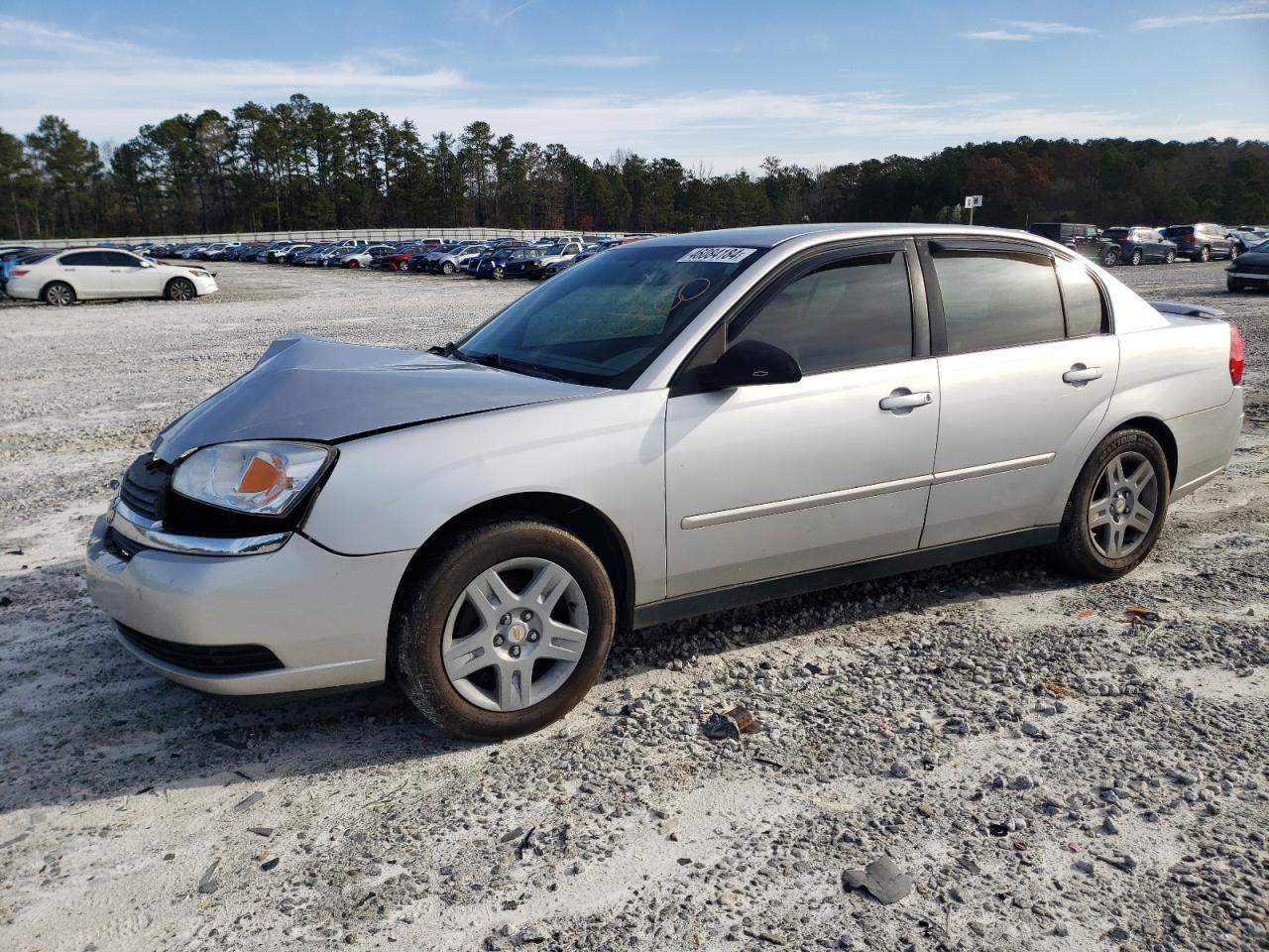 CHEVROLET MALIBU 2005 1g1zt54855f219772