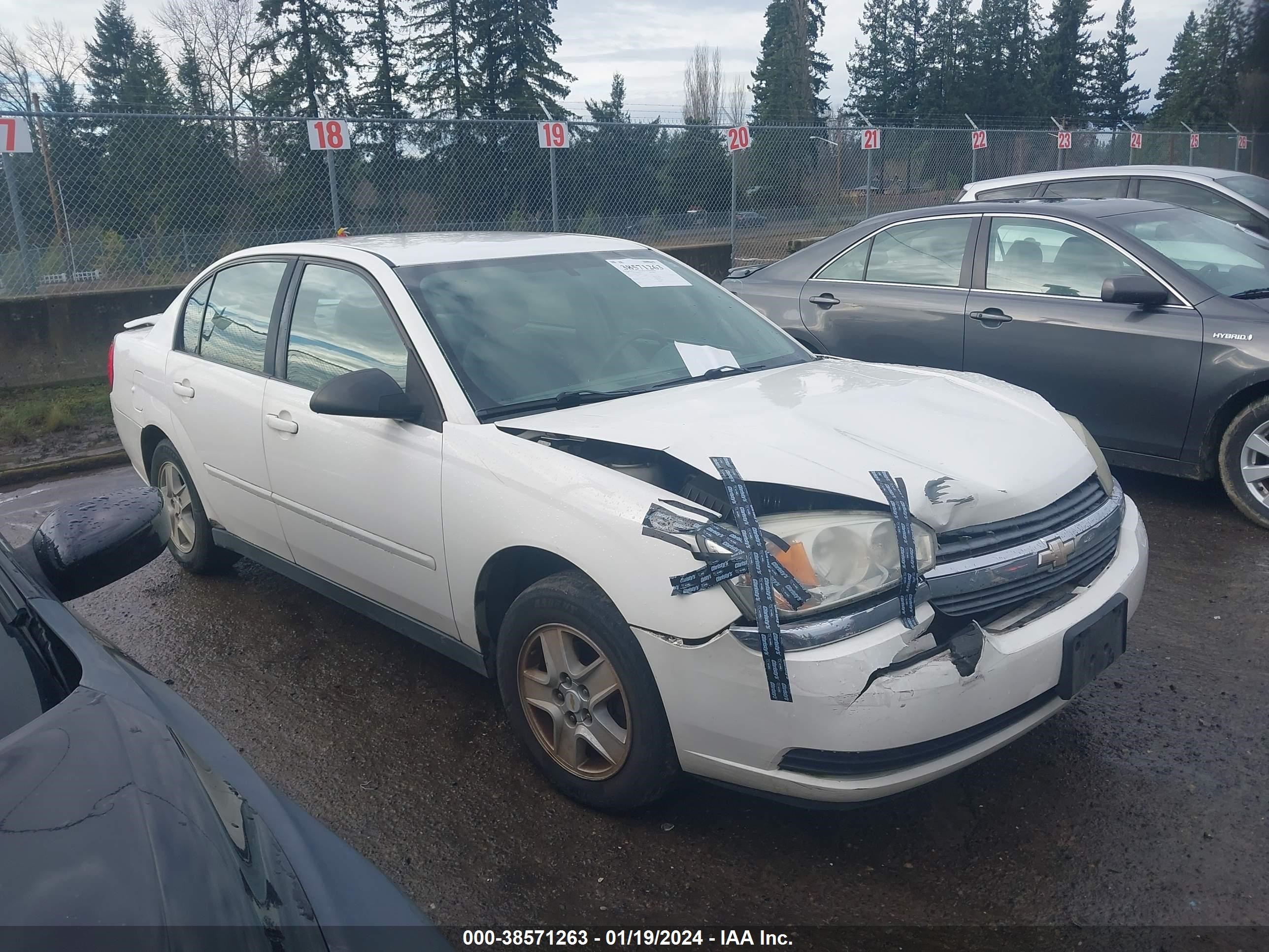 CHEVROLET MALIBU 2005 1g1zt54865f211065