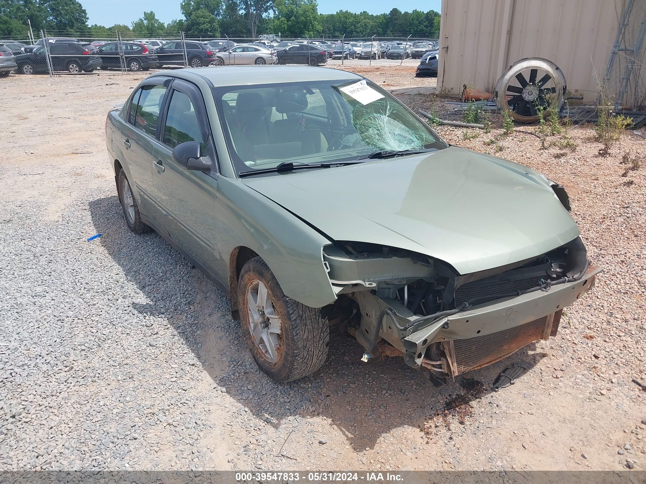 CHEVROLET MALIBU 2005 1g1zt54865f212071