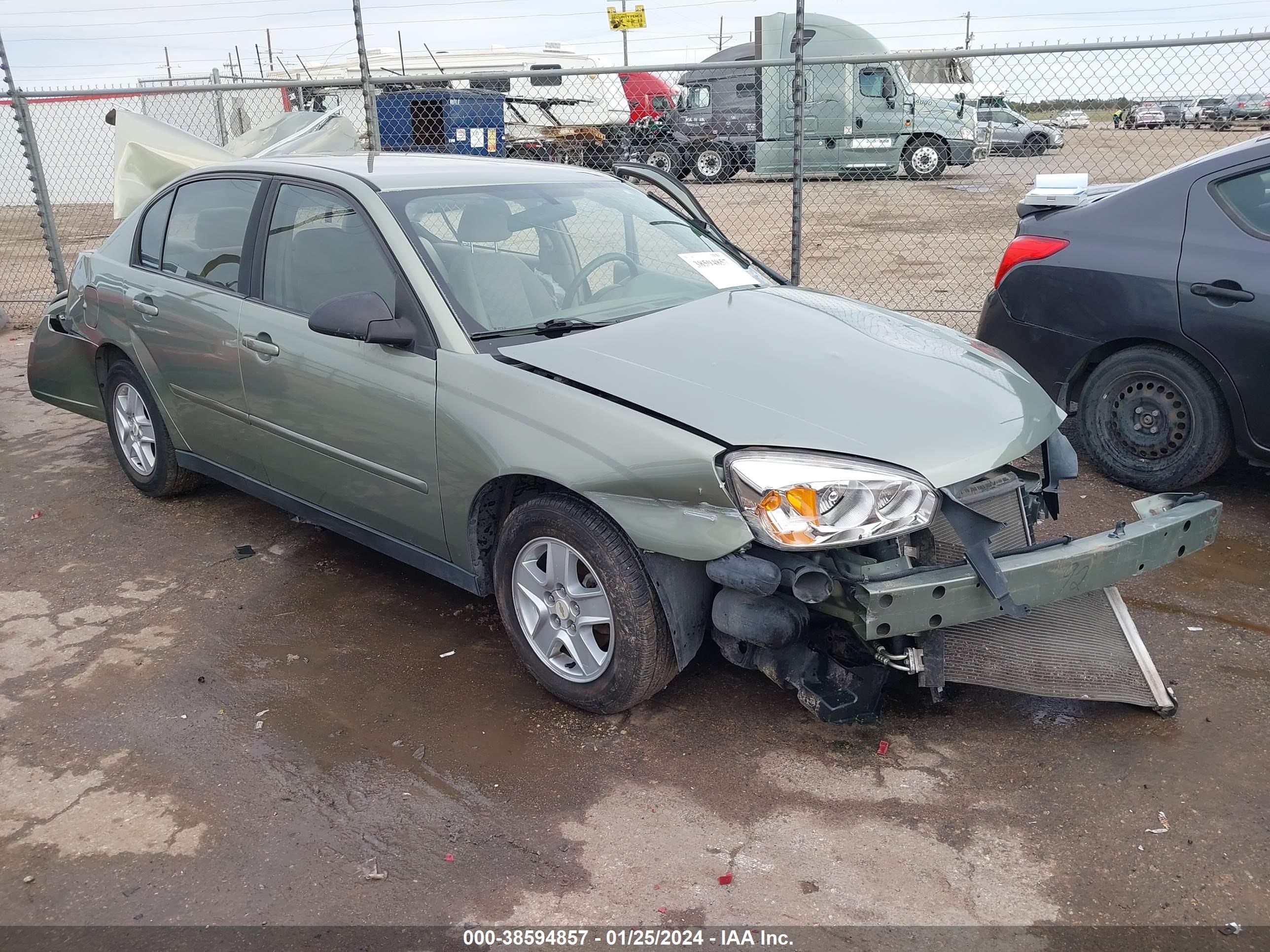 CHEVROLET MALIBU 2005 1g1zt54865f242929