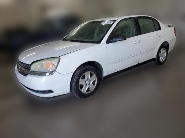 CHEVROLET MALIBU 2004 1g1zt54874f106422