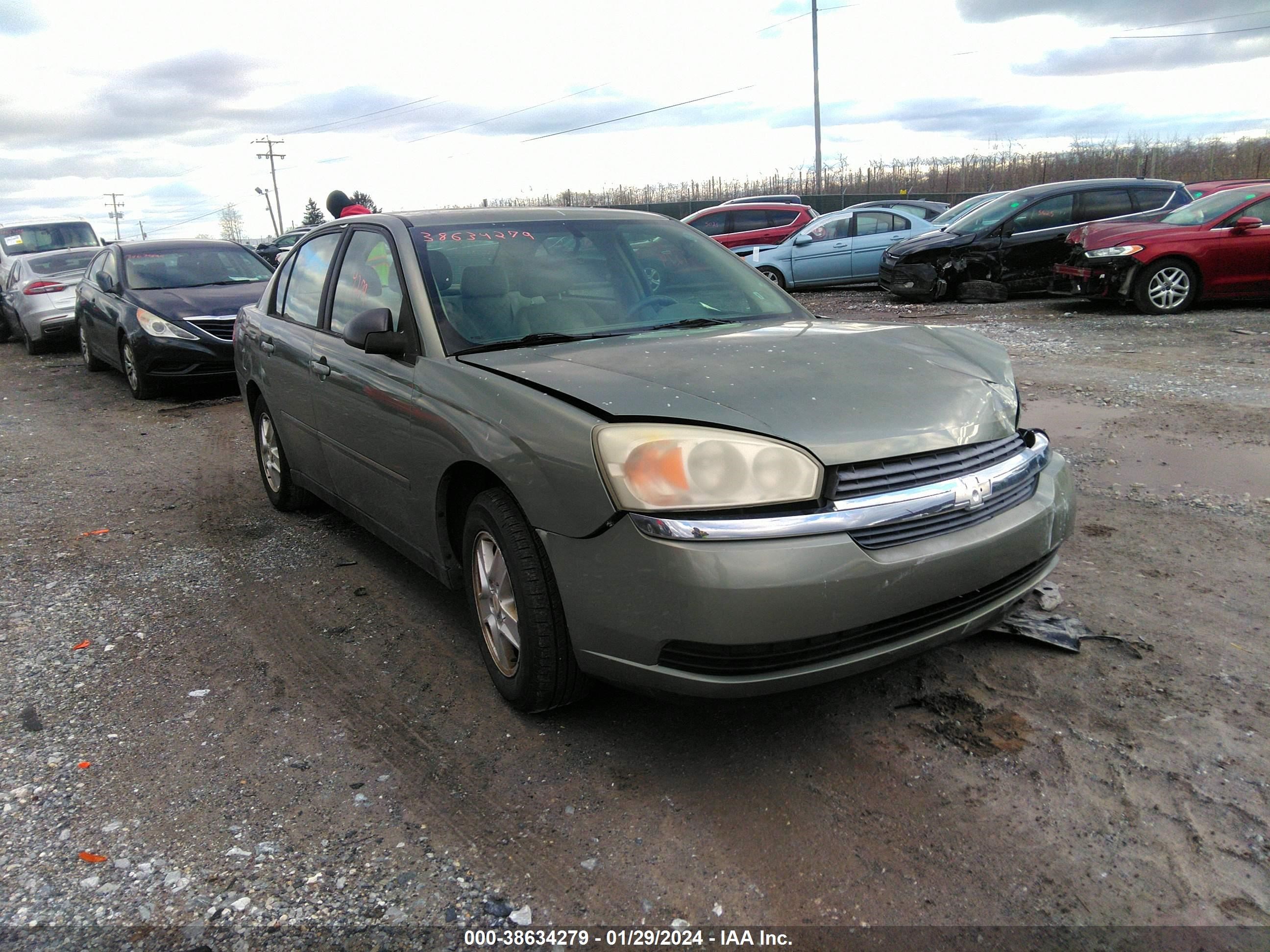 CHEVROLET MALIBU 2005 1g1zt54875f153225