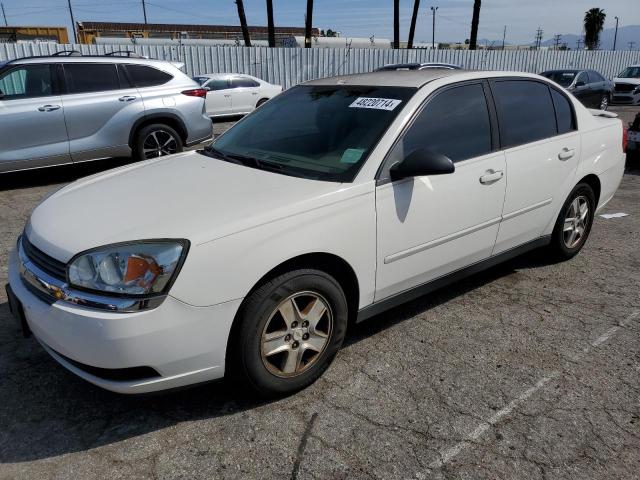 CHEVROLET MALIBU 2005 1g1zt54875f165276