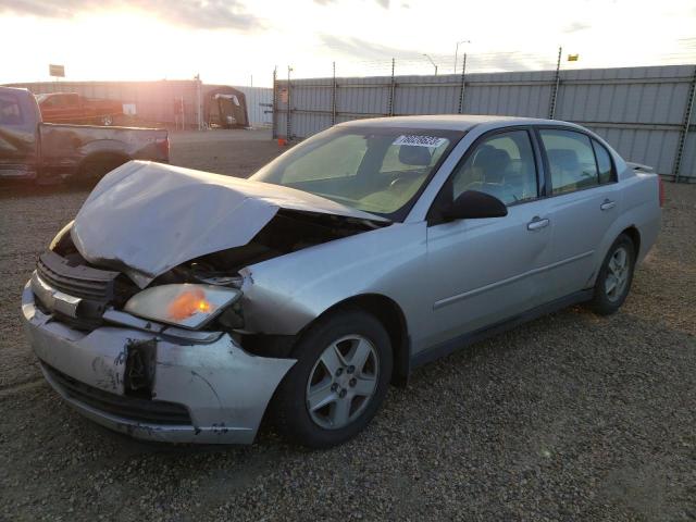 CHEVROLET MALIBU 2005 1g1zt54875f318853