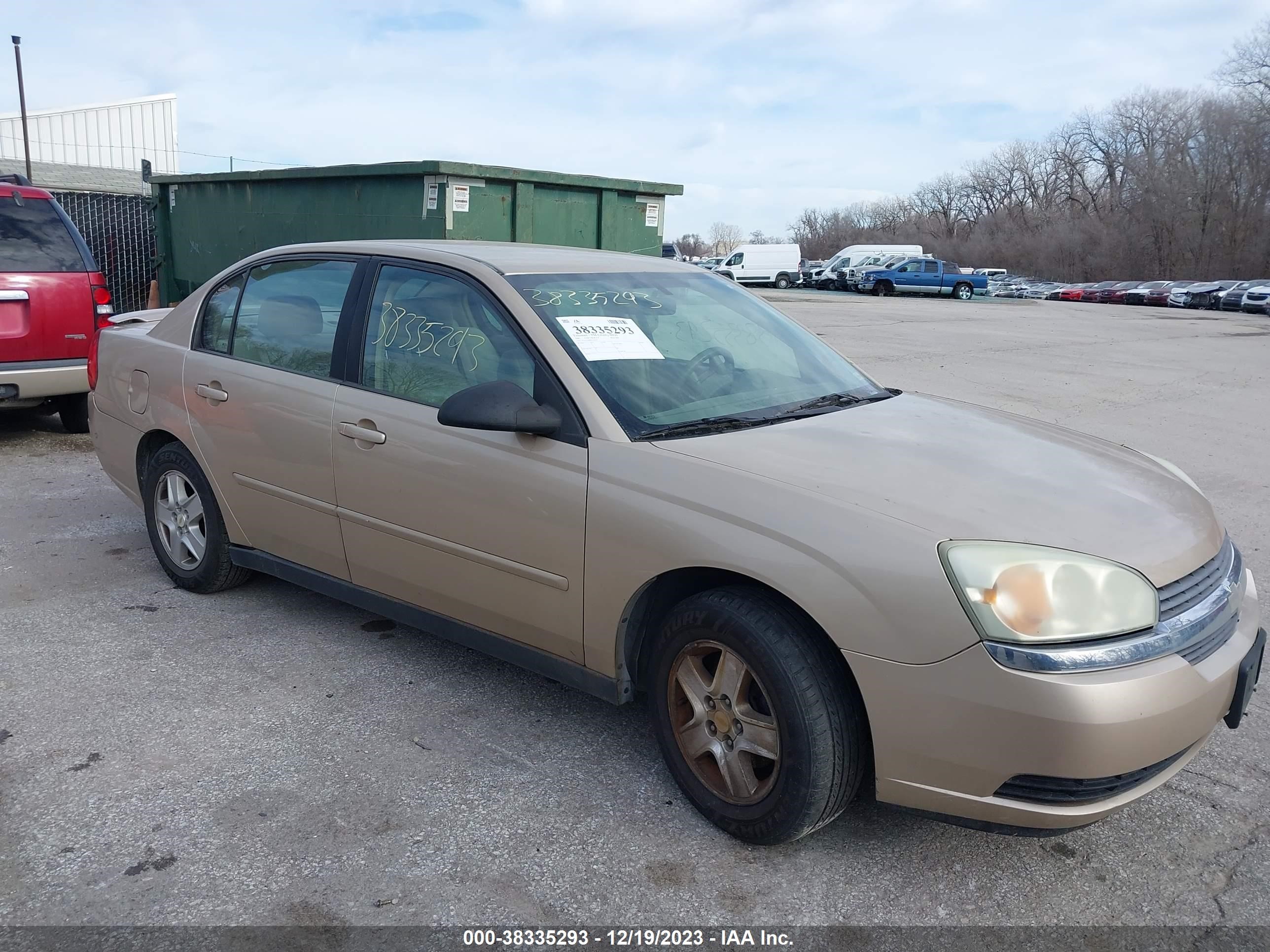 CHEVROLET MALIBU 2005 1g1zt54885f141620