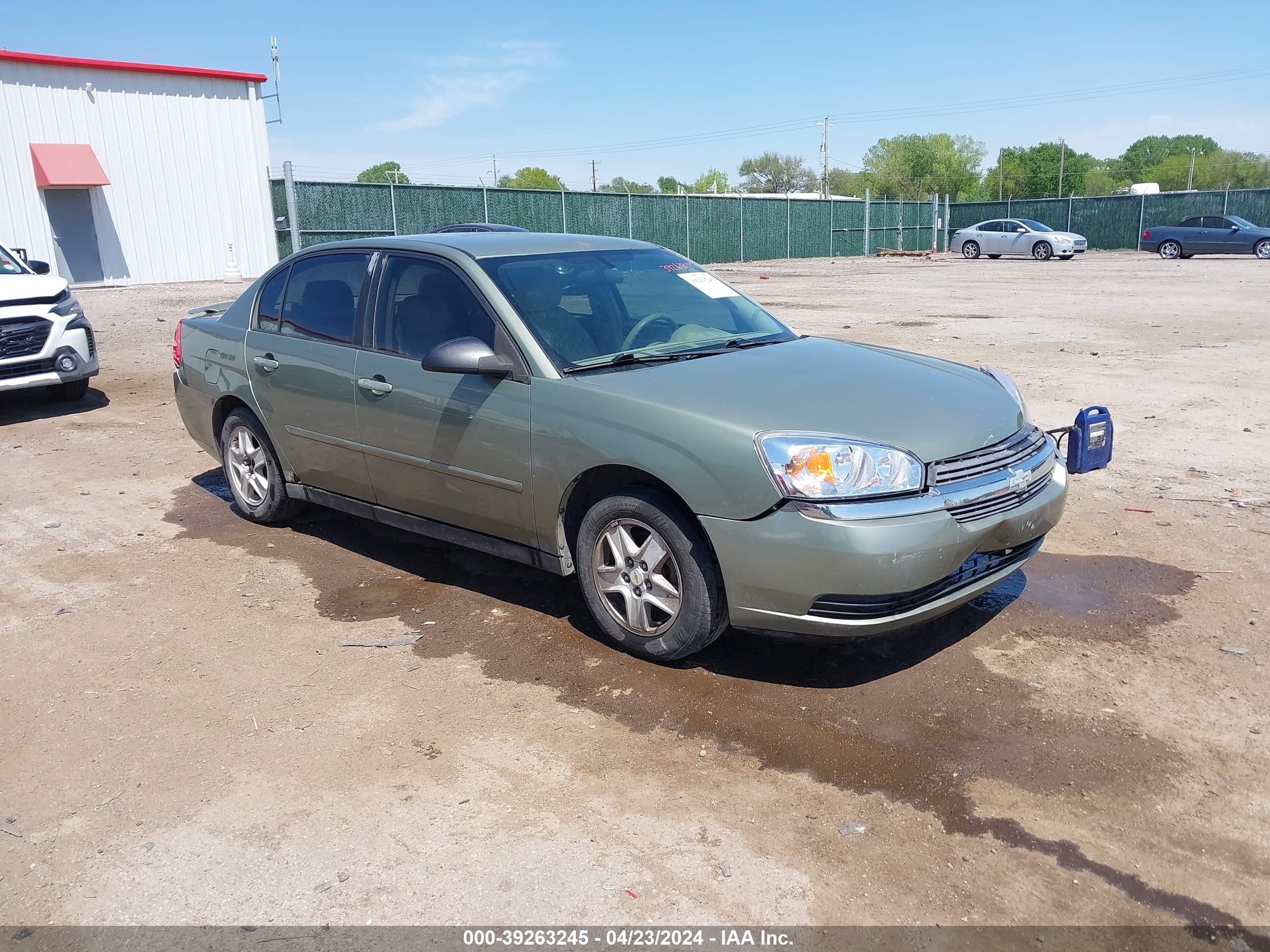 CHEVROLET MALIBU 2005 1g1zt54885f202237