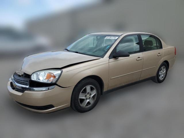 CHEVROLET MALIBU 2005 1g1zt54885f240759