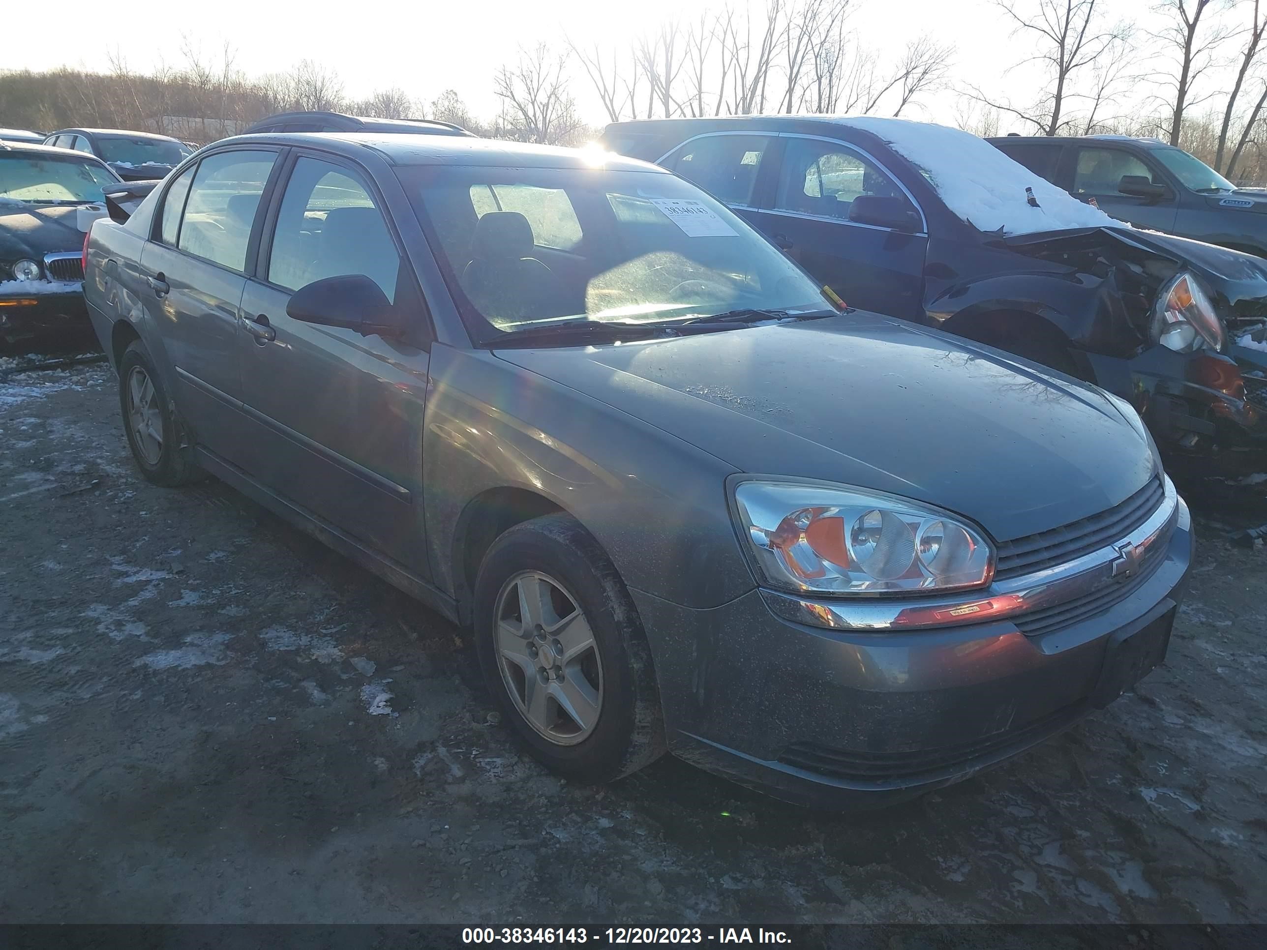 CHEVROLET MALIBU 2005 1g1zt54885f265483