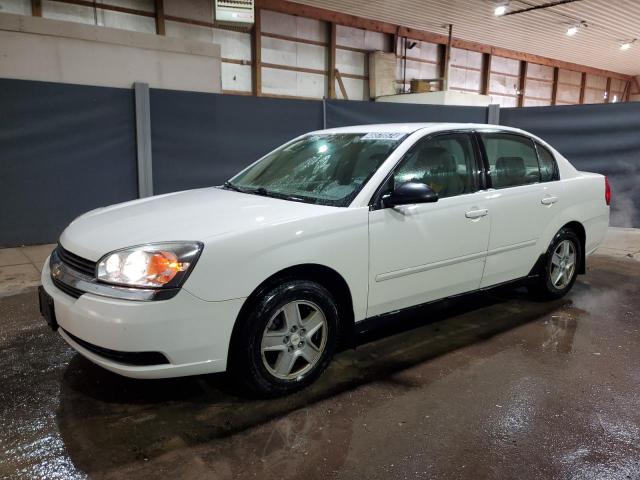 CHEVROLET MALIBU 2005 1g1zt54885f316979