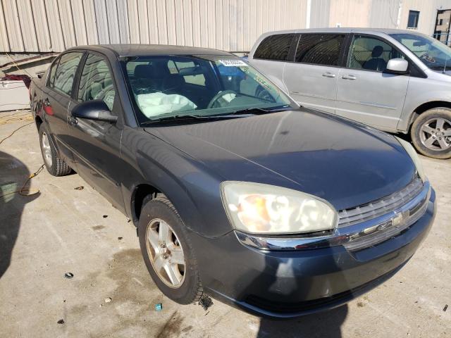 CHEVROLET MALIBU LS 2004 1g1zt54894f167450