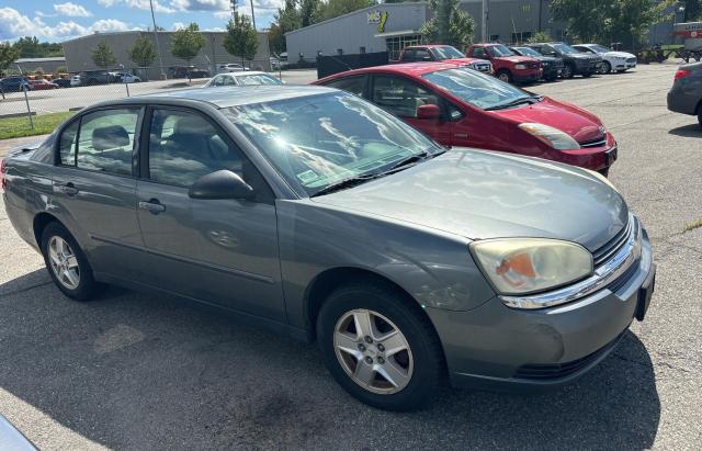 CHEVROLET MALIBU LS 2004 1g1zt54894f204996