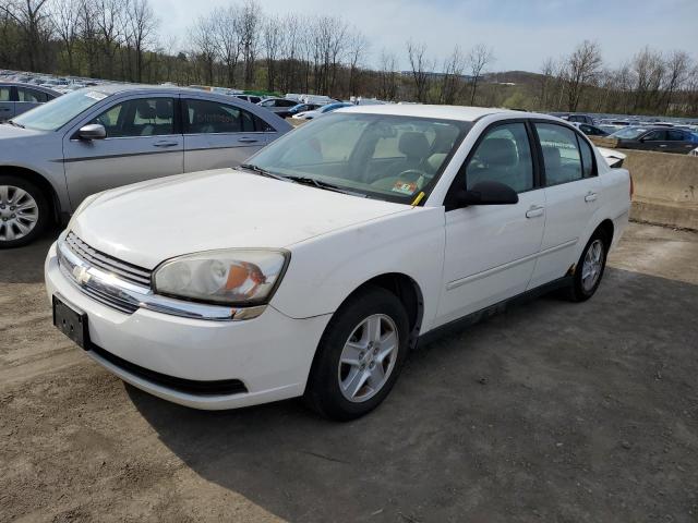 CHEVROLET MALIBU 2004 1g1zt54894f238842