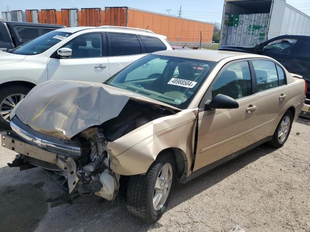 CHEVROLET MALIBU 2005 1g1zt54895f151055