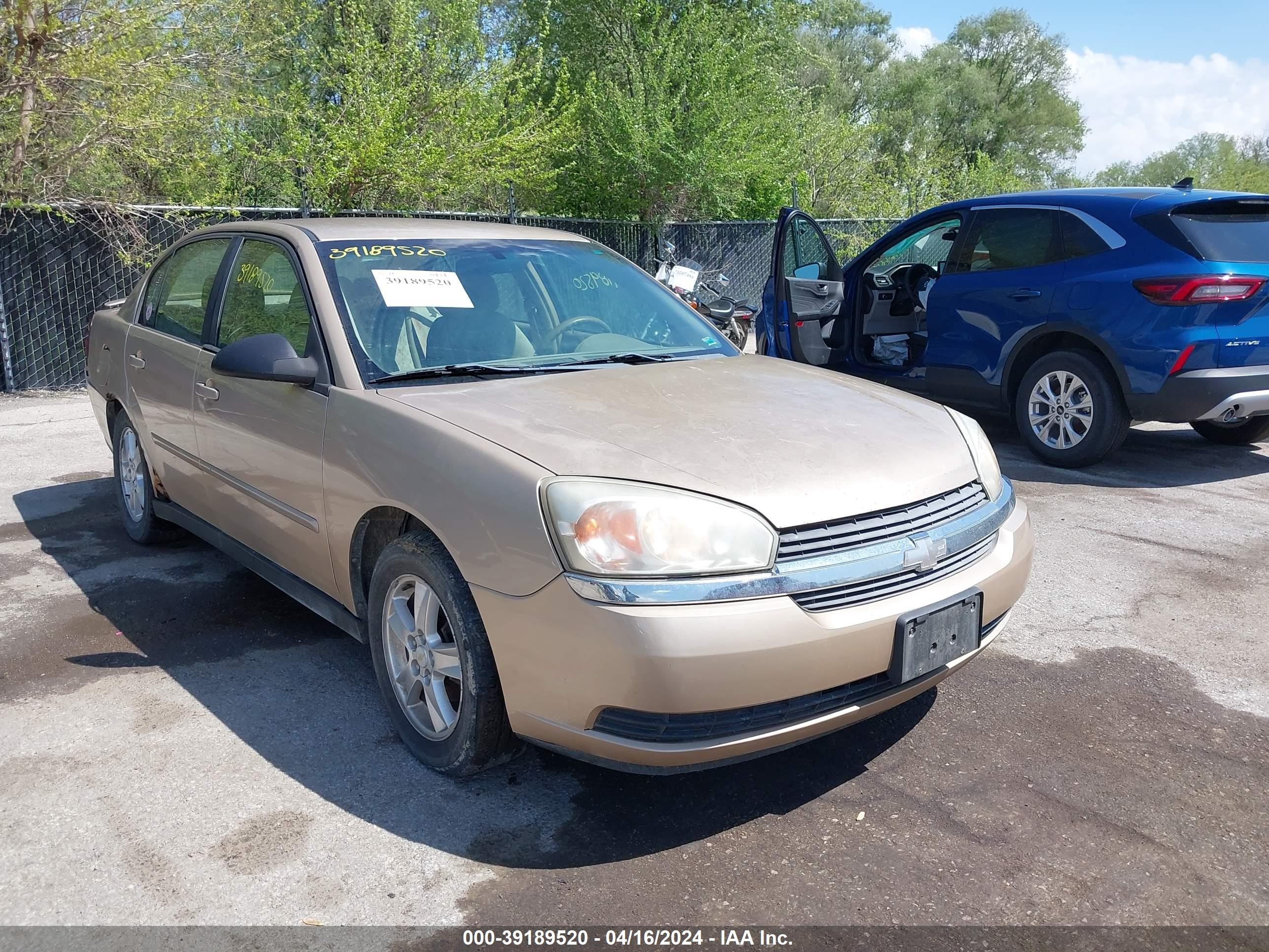 CHEVROLET MALIBU 2005 1g1zt54895f208791