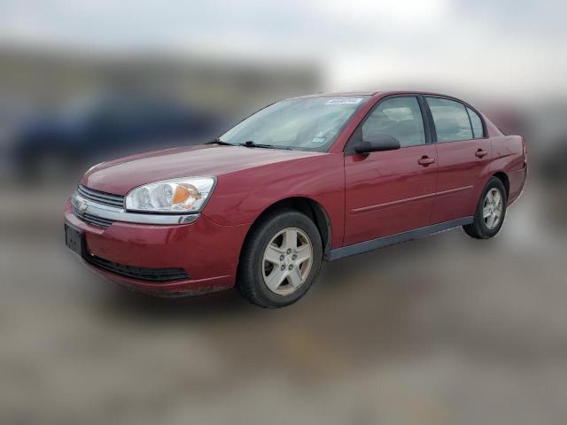 CHEVROLET MALIBU 2005 1g1zt54895f216146