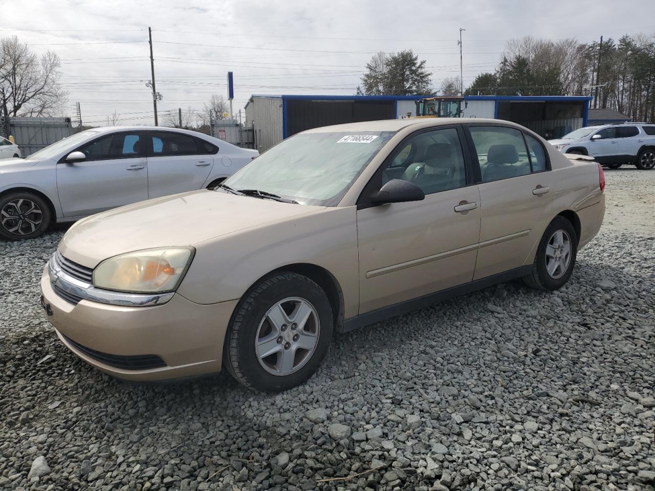 CHEVROLET MALIBU 2005 1g1zt54895f231536