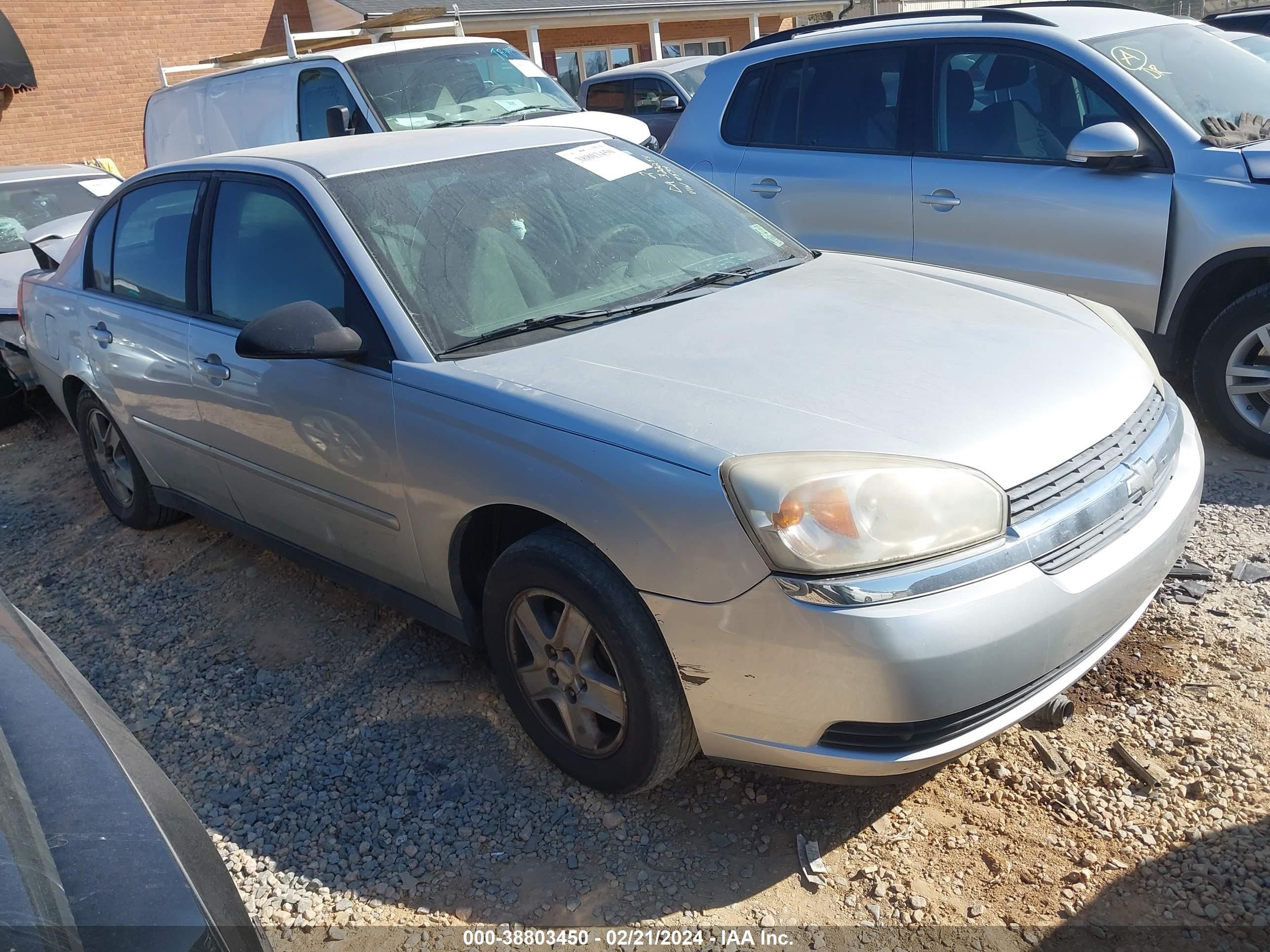 CHEVROLET MALIBU 2005 1g1zt54895f234534