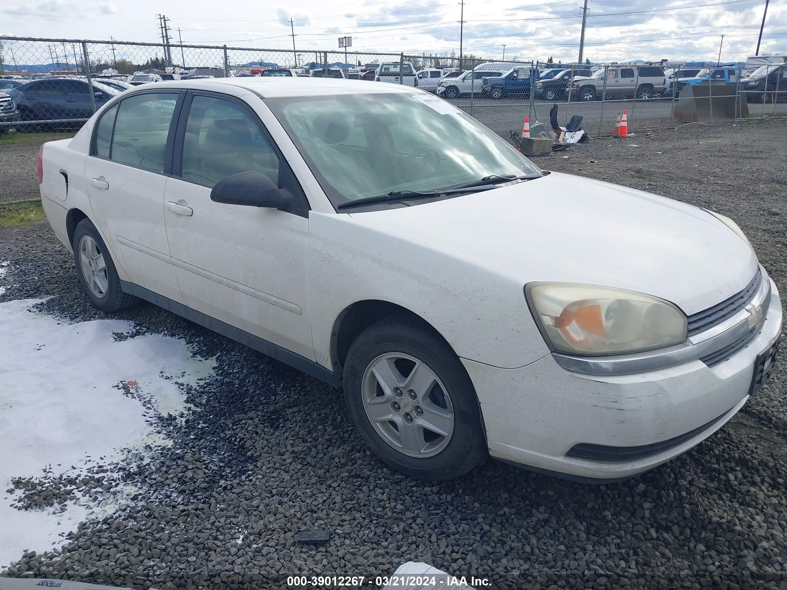 CHEVROLET MALIBU 2005 1g1zt54895f263192