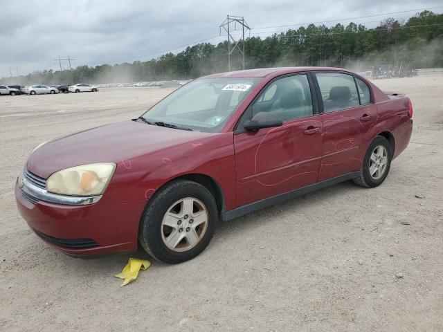 CHEVROLET MALIBU 2005 1g1zt54895f314321