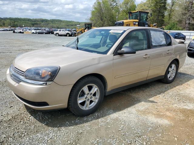 CHEVROLET MALIBU 2005 1g1zt548x5f196036