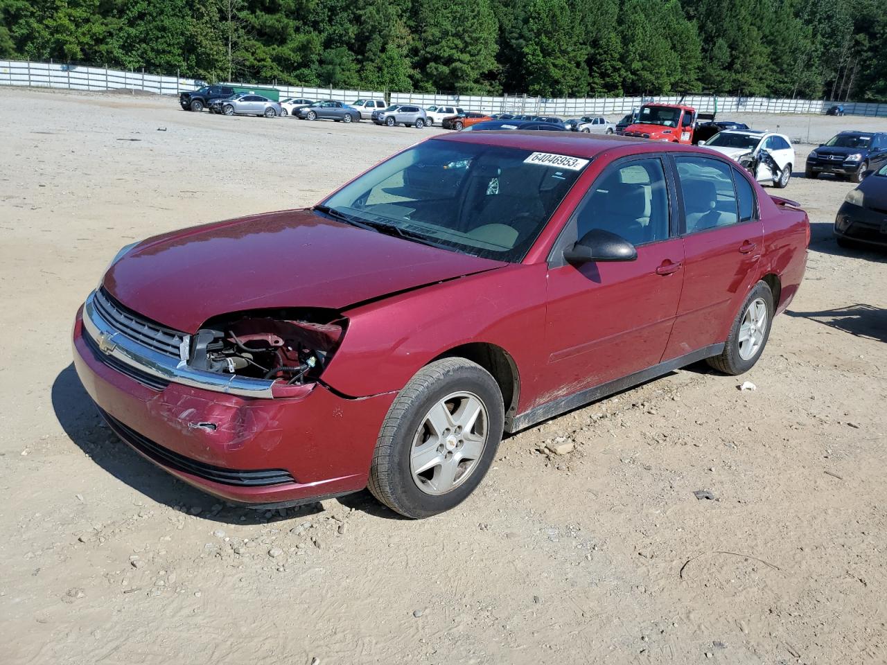 CHEVROLET MALIBU 2005 1g1zt548x5f243419