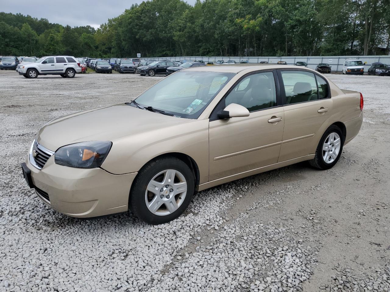 CHEVROLET MALIBU 2007 1g1zt58f57f198112