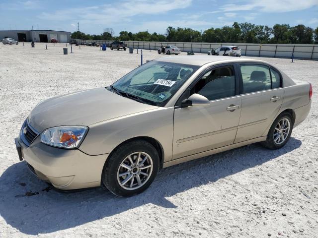 CHEVROLET MALIBU LT 2007 1g1zt58n17f207847