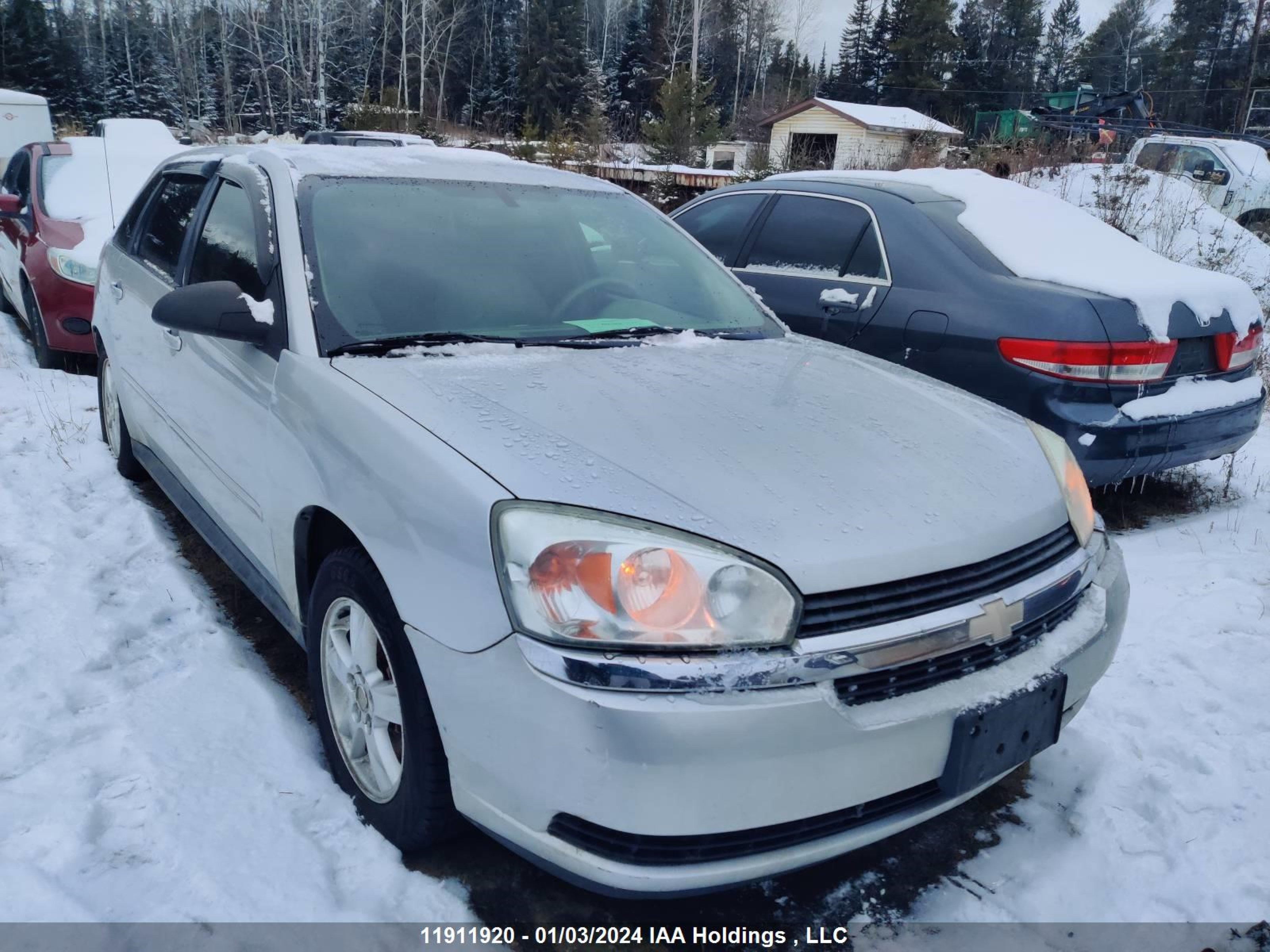 CHEVROLET MALIBU 2004 1g1zt62804f243713