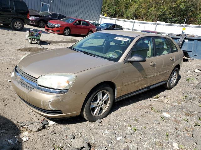 CHEVROLET MALIBU MAX 2005 1g1zt62835f218824